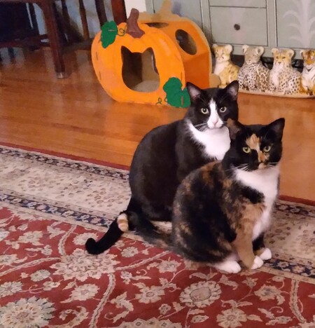 Entry image for Moe and Annie. Clicking this image will show a larger photo