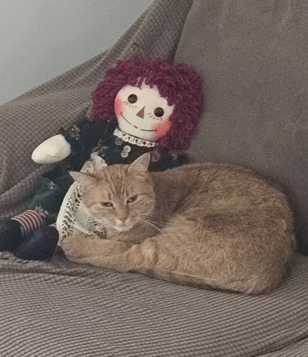 Entry image for Roxy. Clicking this image will show a larger photo