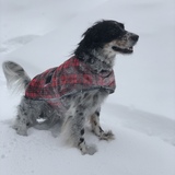 Entry image for Logan