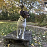 Entry image for Elly