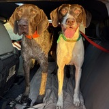 Entry image for Bridger and Janey