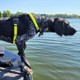 Entry image for Colter