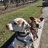 Entry image for Jack