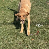 Entry image for Sandy