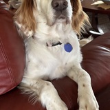 Entry image for Kaydee