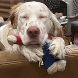 Entry image for Missy