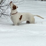 Entry image for Tenna