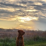 Entry image for Ruby