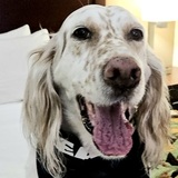 Entry image for Alivia (Livvy)