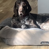 Entry image for Jack