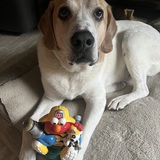 Entry image for Kevin