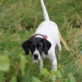 Entry image for Shelly