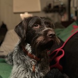 Entry image for Beck aka Becky aka Beckett