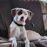 Entry image for Rudy