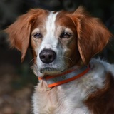 Entry image for Radar