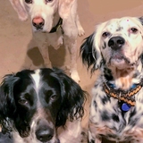 Entry image for Dudley, Dustin, Raelyn  Top to Bottom