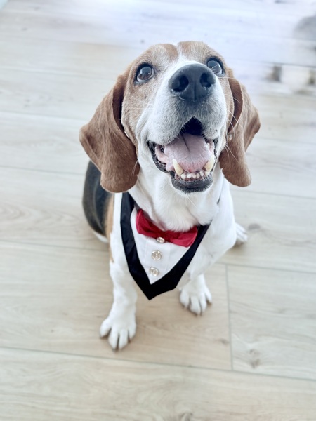 Entry image for Jed. Clicking this image will show a larger photo