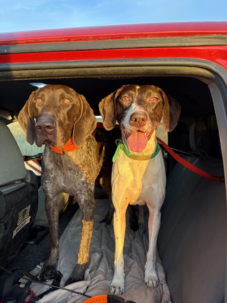 Entry image for Bridger and Janey. Clicking this image will show a larger photo