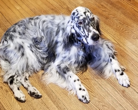 Entry image for Bridgette . Clicking this image will show a larger photo