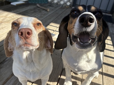 Entry image for Charlie and Marigold. Clicking this image will show a larger photo