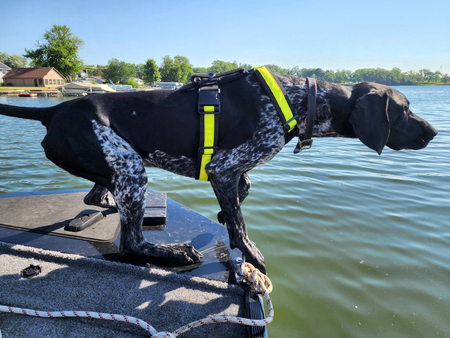 Entry image for Colter. Clicking this image will show a larger photo