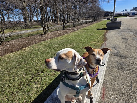 Entry image for Jack. Clicking this image will show a larger photo