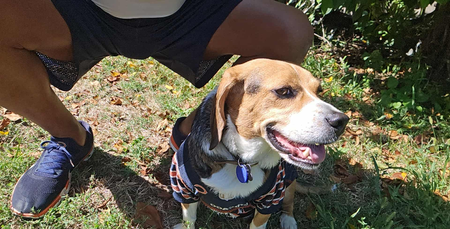 Entry image for Bruno. Clicking this image will show a larger photo