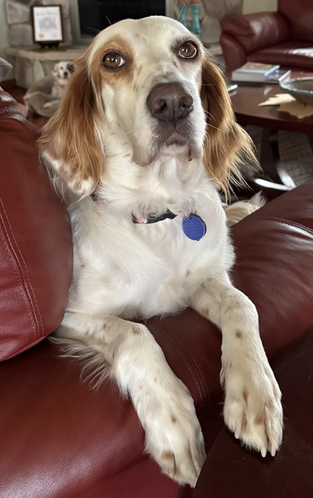 Entry image for Kaydee. Clicking this image will show a larger photo