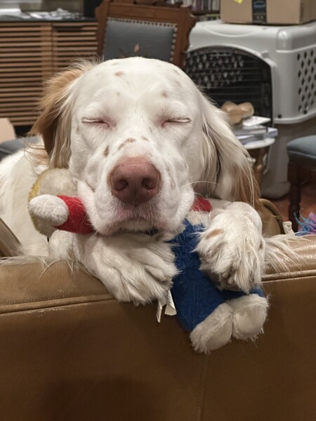 Entry image for Missy. Clicking this image will show a larger photo