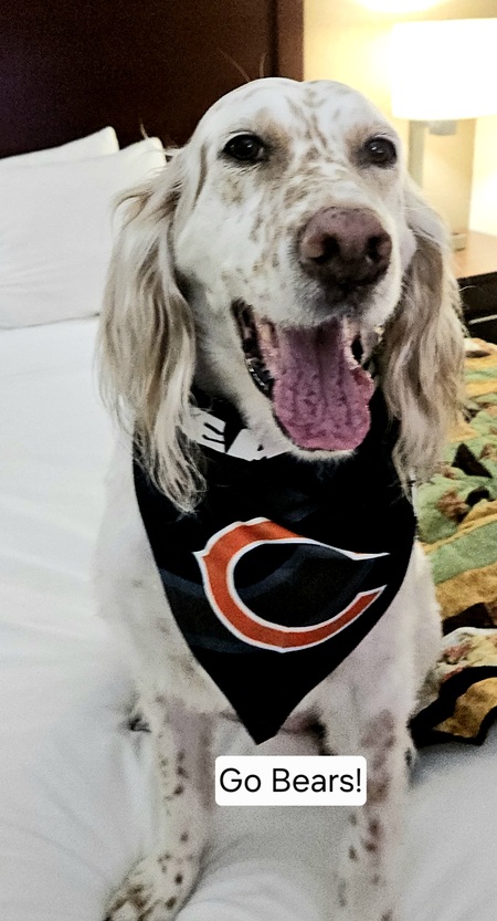 Entry image for Alivia (Livvy). Clicking this image will show a larger photo