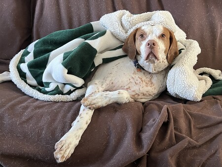 Entry image for Sadey. Clicking this image will show a larger photo