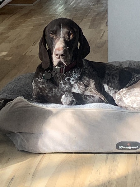 Entry image for Jack. Clicking this image will show a larger photo