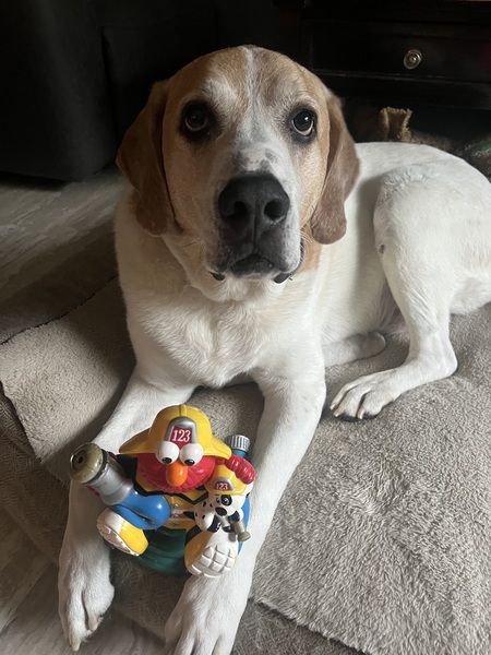 Entry image for Kevin. Clicking this image will show a larger photo