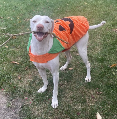 Entry image for Dory Ruth. Clicking this image will show a larger photo