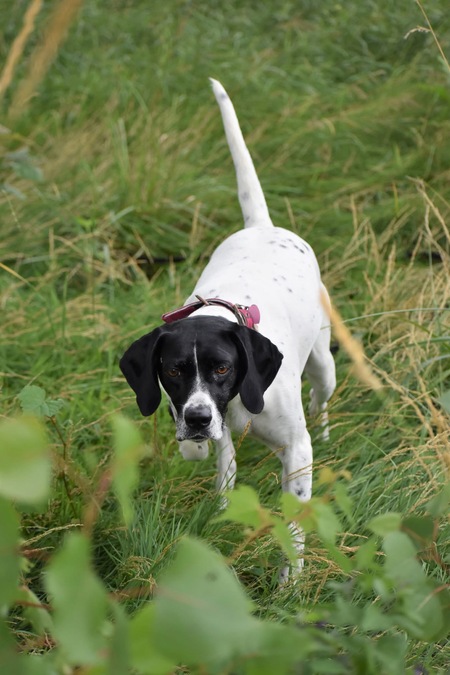 Entry image for Shelly. Clicking this image will show a larger photo