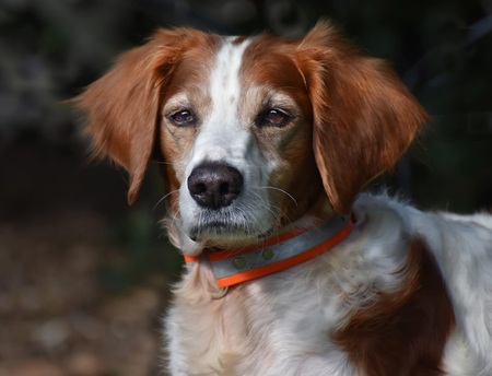 Entry image for Radar. Clicking this image will show a larger photo