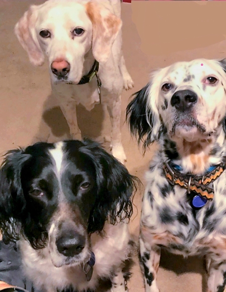 Entry image for Dudley, Dustin, Raelyn  Top to Bottom. Clicking this image will show a larger photo