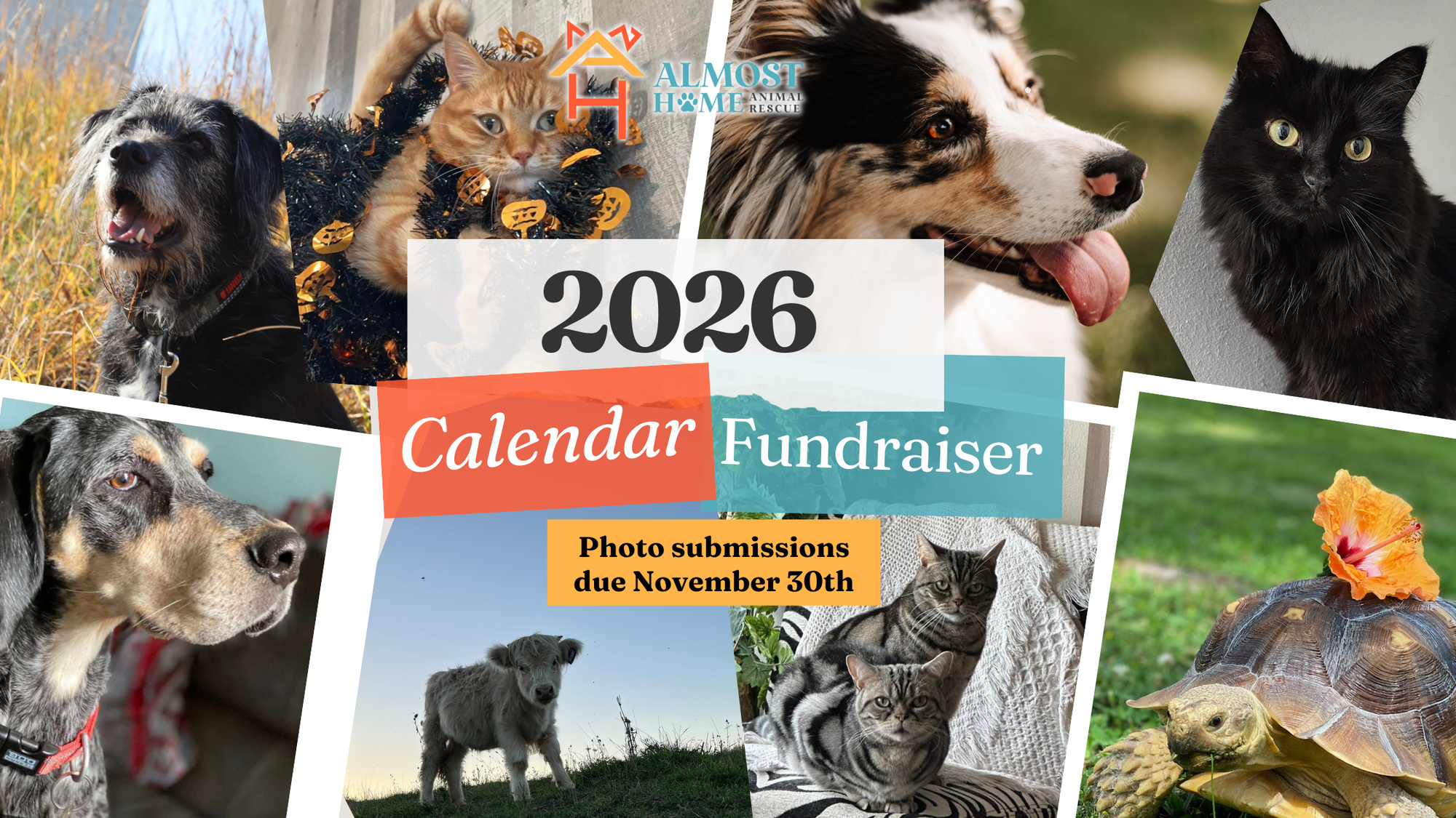 Banner for 2026 Calendar Contest