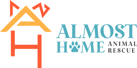 Logo for 2026 Calendar Contest