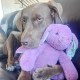 Entry image for Winnie