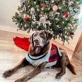 Entry image for Otis