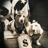 Entry image for Diesel & Copper