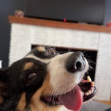 Entry image for Maggie