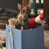 Entry image for Benny