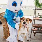 Entry image for Roscoe