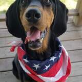 Entry image for Bubba