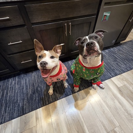 Entry image for Maya & Gus. Clicking this image will show a larger photo