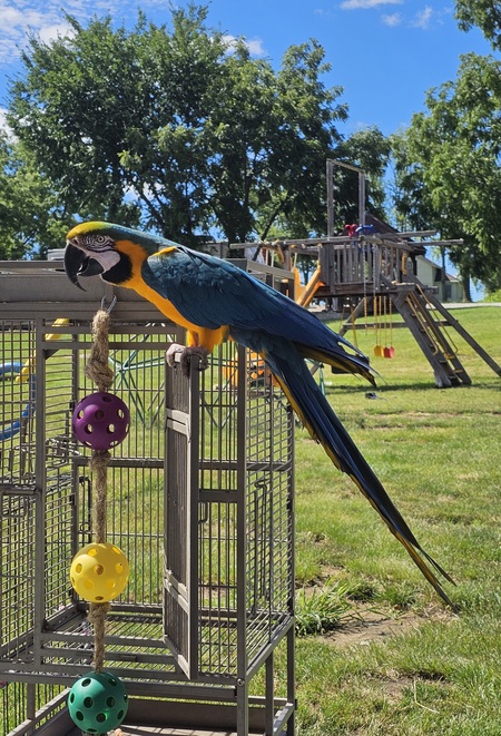 Entry image for Max. Clicking this image will show a larger photo