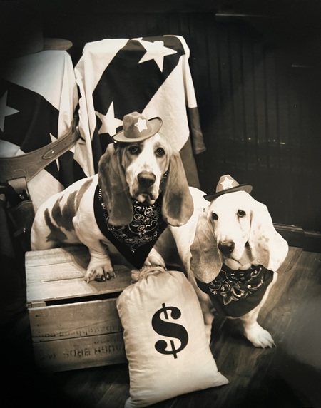 Entry image for Diesel & Copper. Clicking this image will show a larger photo