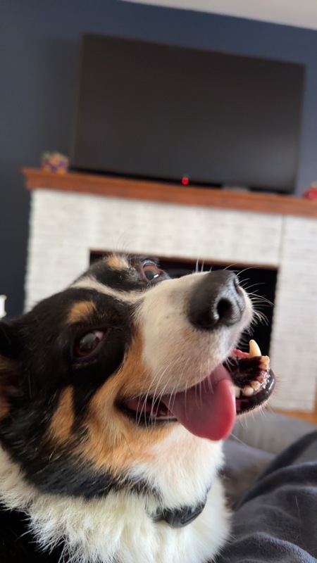 Entry image for Maggie. Clicking this image will show a larger photo